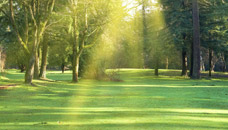 LUCE Funeral Home